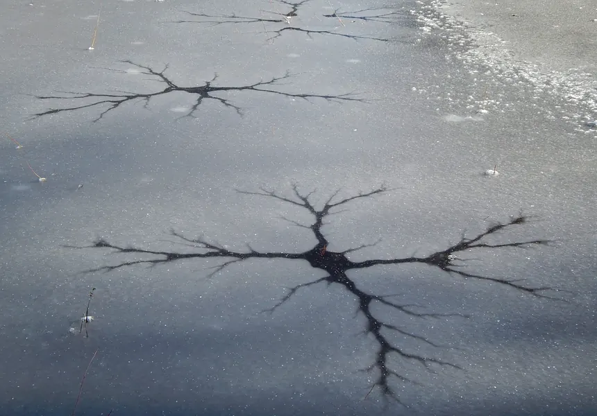Superfície de um lago gelado com fissuras em forma de estrela ramificada